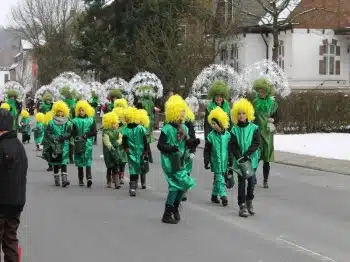 Veilchendienstagszug Grevenbrück (13)