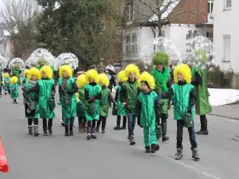 Veilchendienstagszug Grevenbrück (14)