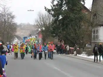 Veilchendienstagszug Grevenbrück (5)