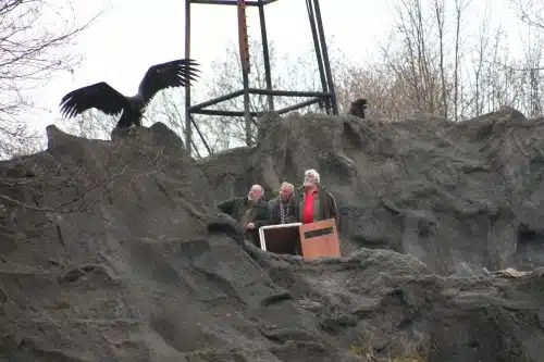 Der neue Hauptdarsteller bei den Karl-May-Festspielen in Elspe ist 2014 der Mönchsgeier Jack. Er war schon zu Besuch auf der Naturbühne, um sich seinen 2014er Arbeitsplatz näher an zu schauen. Foto: Elspe Festival