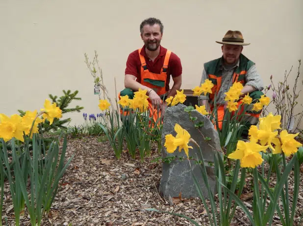 Martin Roth und Martin Beume (v.l.) - Foto: Stadt Hilchenbach