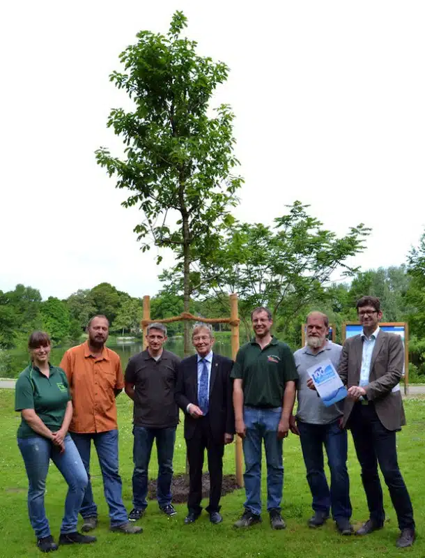 Beim offiziellen Fototermin für die neue Traubeneiche am Seilersee (v.l.) Anna-Marie und Jörg Salamon, Matthias Koch, Bürgermeister Dr. Peter Paul Ahrens, Olaf Krohn (Fa. Vriesen), Dirk Kaiser sowie Stadtmarketingleiter Martin Bußkamp (Foto: Stadt Iserlohn).