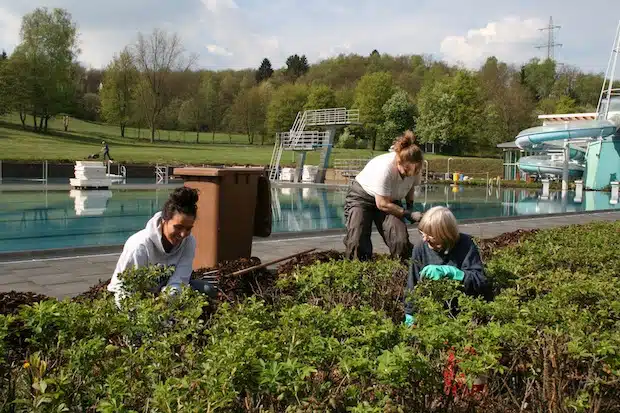 Eine stachelige Angelegenheit – und trotzdem gute Laune: Elise Hüntgen, Barbara Kölsch und Edith Theis (von links) befreien die Wildrosenbeete rund um das Familienbad von Unkraut (Foto: Gemeinde Neunkirchen).