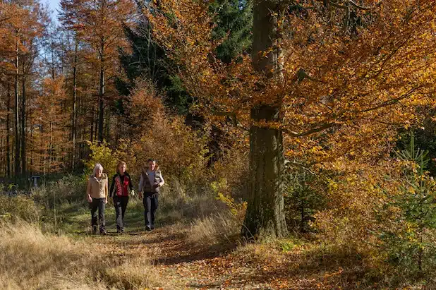 Quelle: Kur - & Freizeit GmbH, Schmallenberger Sauerland