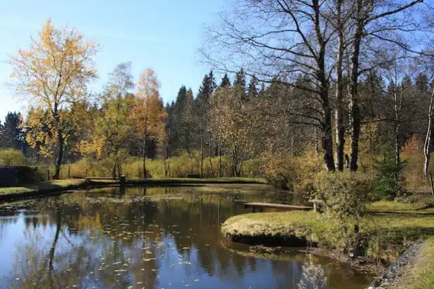 Der Weiher beim Riemen - Foto: Scheel, Juliane