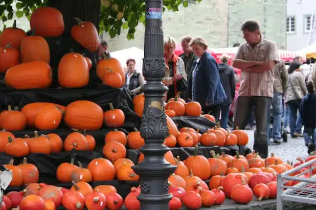 Der Bördebauernmarkt in Soest (Foto: Wirtschaft & Marketing Soest GmbH).