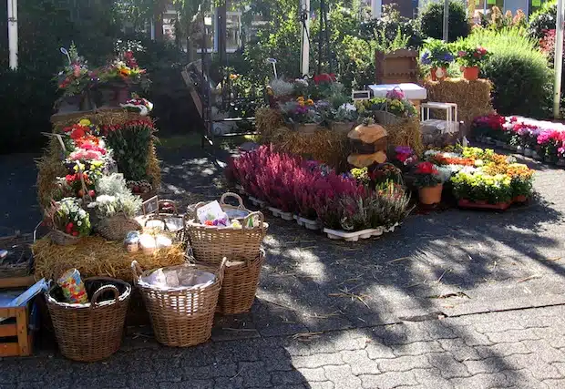 Herbstliches Ambiente versprüht der Wilnsdorfer Bauern- und Naturmarkt (Foto: Gemeinde Wilnsdorf).