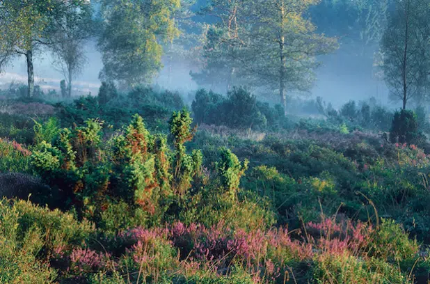 Foto: Ferienwelt Winterberg