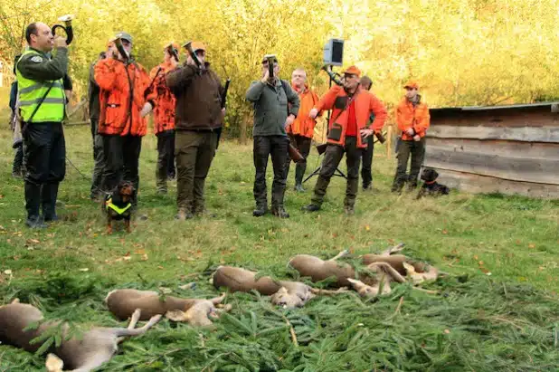 Foto: Wildwald Vosswinkel