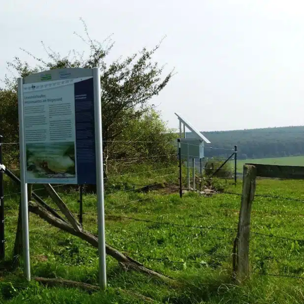 Der Roberts Bruch, Kallenhardt (Foto: WESTKALK)