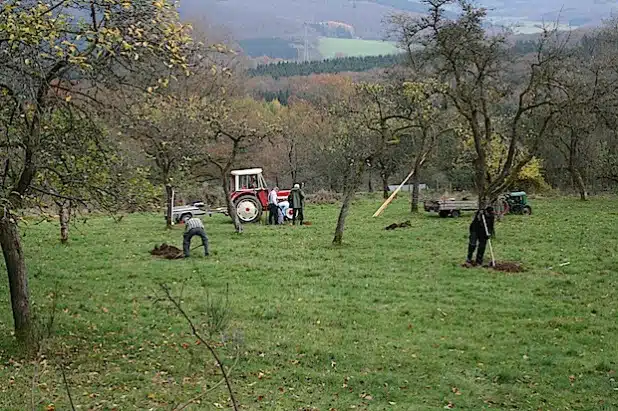 Foto: Gemeinde Neunkirchen