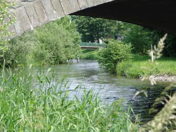 Gesunde und  ökologisch funktionierende Gewässer – mit der richtigen Entsorgung von Arz-neimitteln kann jeder dazu einen Beitrag leisten (Foto: Christina Sondermann).