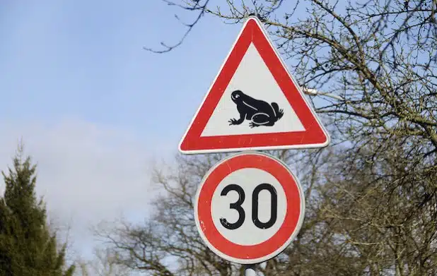 Nicht nur für Amphibien können die nächsten Wochen gefährlich werden, sondern auch für Verkehrsteilnehmer. Denn viele überfahrene Tiere auf der Straße führen zu einer erhöhten Rutschgefahr (Foto: Thomas Weinstock/Kreis Soest).