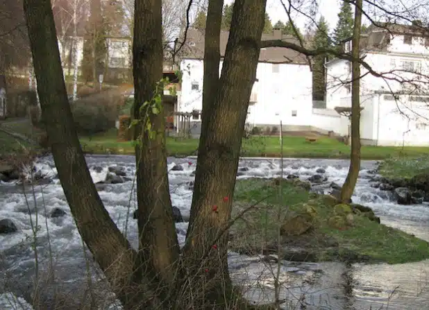 Ab Montag wird sich an dieser Stelle der Möhne, östlich der Wehranlage an der Rampe Belecke, eine Menge verändern: Im Laufe der Renaturierungsmaßnahme entsteht hier eine Aufstiegsrampe für Fische (Foto: Markus Mihatsch/Kreis Soest).