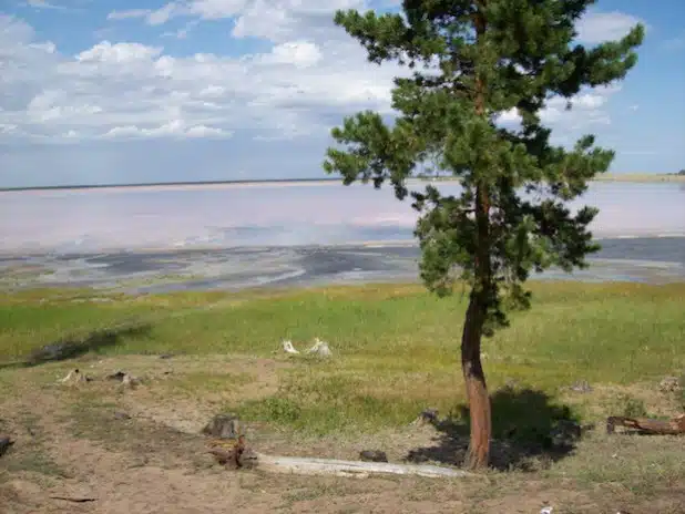 Russische Landschaft (Foto: Stadt Lippstadt)