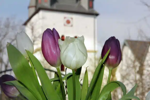 Foto: Aktionsgemeinschaft Drolshagen e.V.