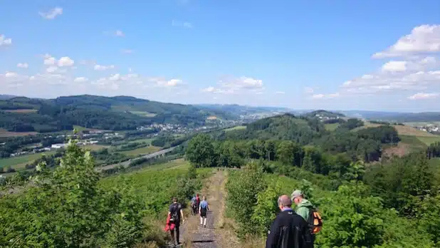 Das Foto zeigt einige Teilnehmer der Wanderwoche auf dem Heinberg bei Velmede (Foto: Tourist-Info Bestwig).