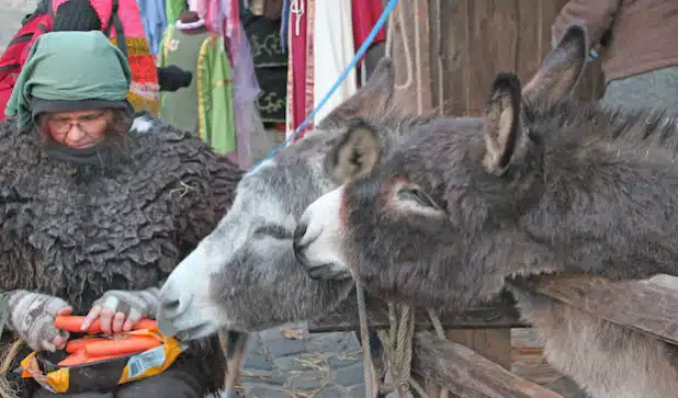 Die lebendige Krippe gehört zum Winter-Spektakulum (Foto: Michelle Wolzenburg/Märkischer Kreis).