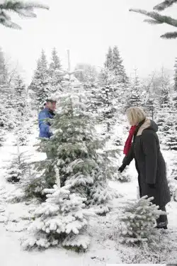 Foto: Winterberg Touristik und Wirtschaft GmbH