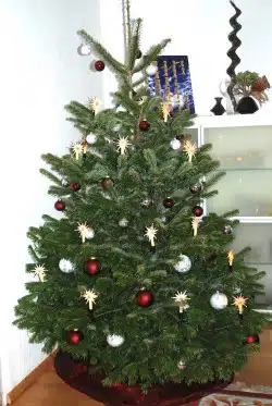 Weihnachtsbaum-Weihnachtsbaumsammlung