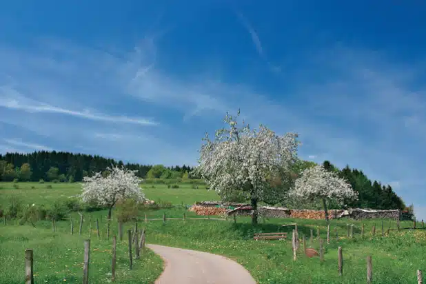 Foto: Gemeinde Willingen, Quelle: PR Office