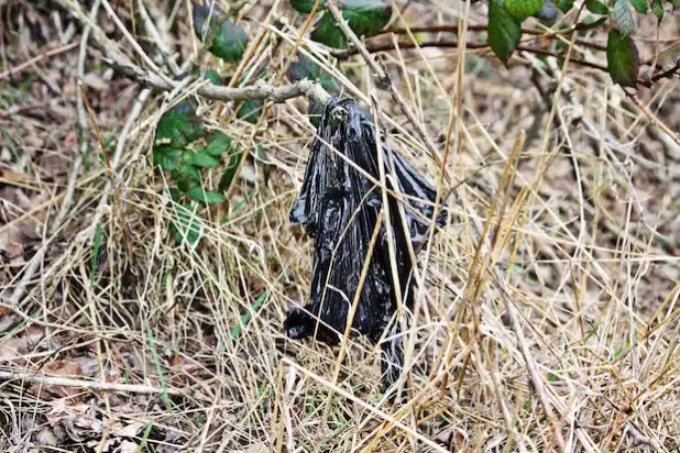 Bilder wie diese sind kein Einzelfall. „Durchquert man die Gemeinde stößt man immer wieder auf unsachgemäß entsorgte Hundekottüten“, berichtet Almuth Bickart - Foto: Gemeinde Neunkirchen.