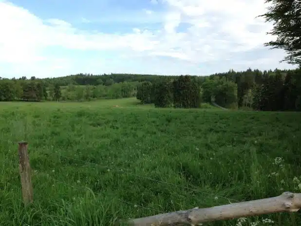 Im Naturschutzgebiet „Auf dem Giebel“ gibt es unter anderem Relikte von Wacholderheiden, einen Quellsumpf und Laubmischwälder. Quelle: Bezirksregierung Arnsberg 