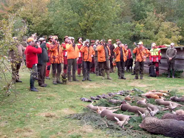 Quelle: WILDWALD VOSSWINKEL