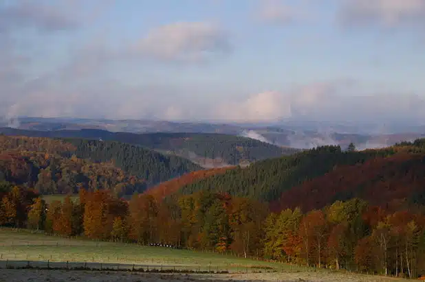 Herbststimmung (Foto: Antonius Klein)