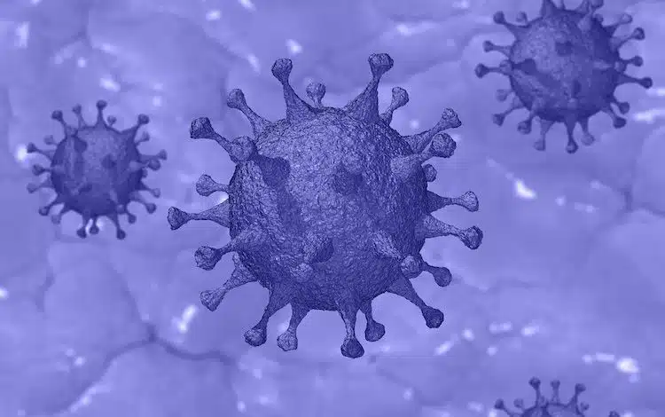 2020-03-24-Virus-Genesene