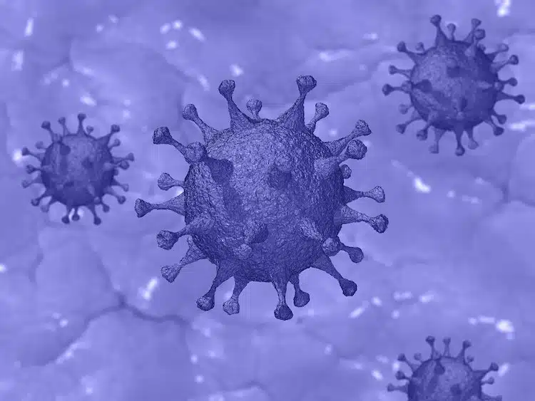 2020-03-24-Virus-Genesene