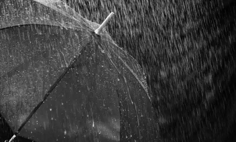 2020-05-05-Regenschirm