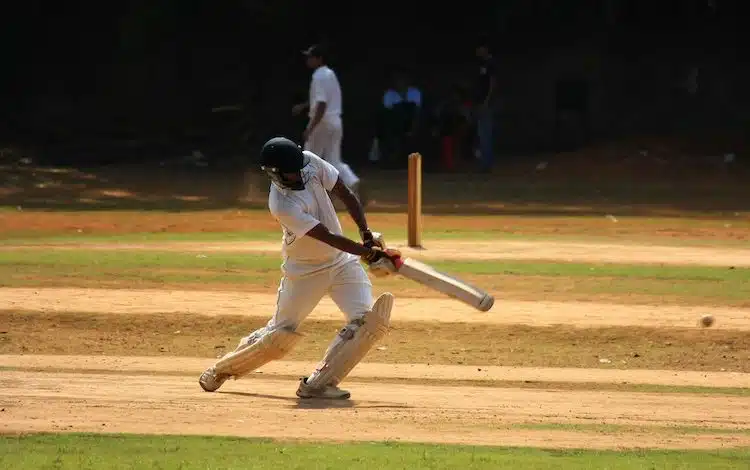 2021-06-08-Cricket